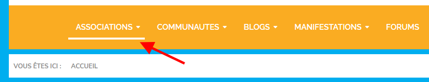 association www.lesitedesassociations.fr