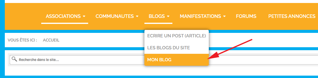 blogs www.lesitedesassociations.fr